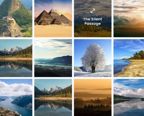 Dynamic Masonry Gallery for Divi