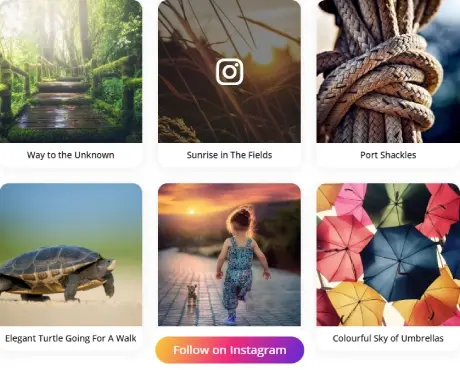 Dynamic Masonry Gallery for Divi